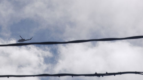 Low angle view of a bird