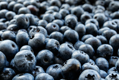 Full frame shot of blueberries