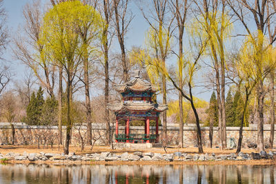 View of trees by lake against building