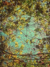 Low angle view of tree against sky