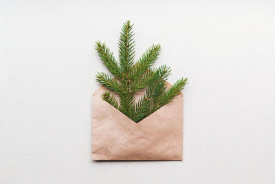 Christmas tree in brown paper envelope on recycled cardboard background plastic free eco trend gifts