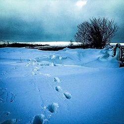 Snow covered landscape