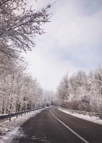 Empty road along bare trees in winter