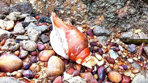 Pebbles on rocks