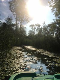 Reflection of trees in lake against sky