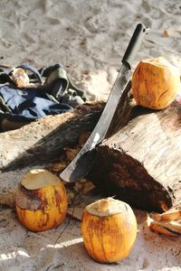 High angle view of coconuts on beach at seychelles 