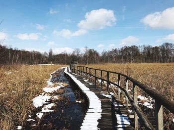Empty road amidst plants on field against sky during winter