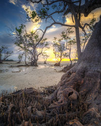 Scenic view of land against sky during sunset