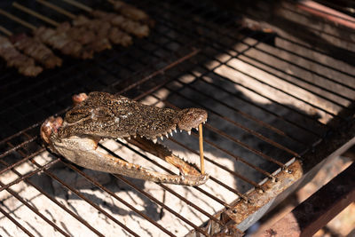 High angle view of crab on barbecue grill