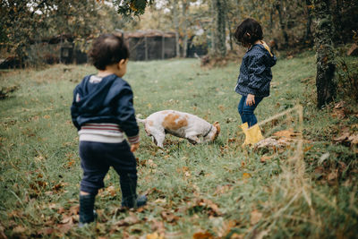 Child playing with dog