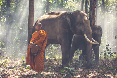 Monk standing against elephant in forest