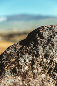 Close-up of lichen on rock