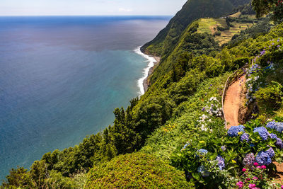 High angle view of trees by sea