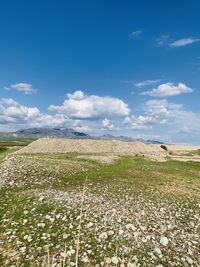 Scenic view of field against sky