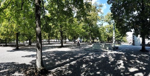 Empty road amidst trees in park