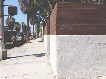 Road along trees in city
