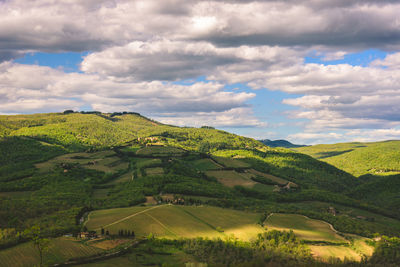 Scenic view of agricultural field against sky