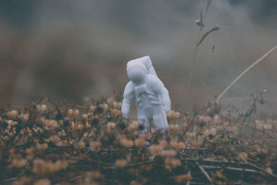 Stuffed toy on field