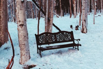 Empty bench on snow covered landscape