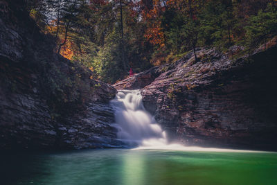 Scenic view of waterfall in forest