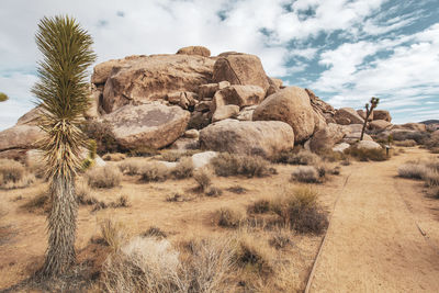 Scenic view of rocks on field against sky