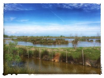 Scenic view of agricultural landscape against blue sky