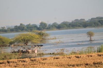 Scenic view of lake against sky