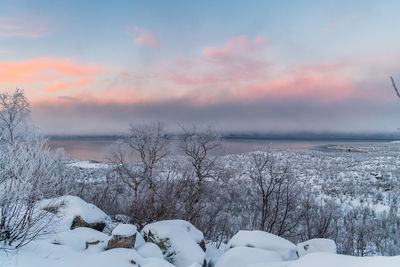 Snow covered trees against sky during sunset