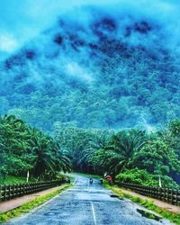 Road amidst trees in city