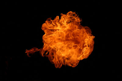 Close-up of bonfire against black background