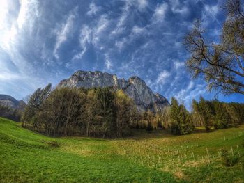 Scenic view of field against sky