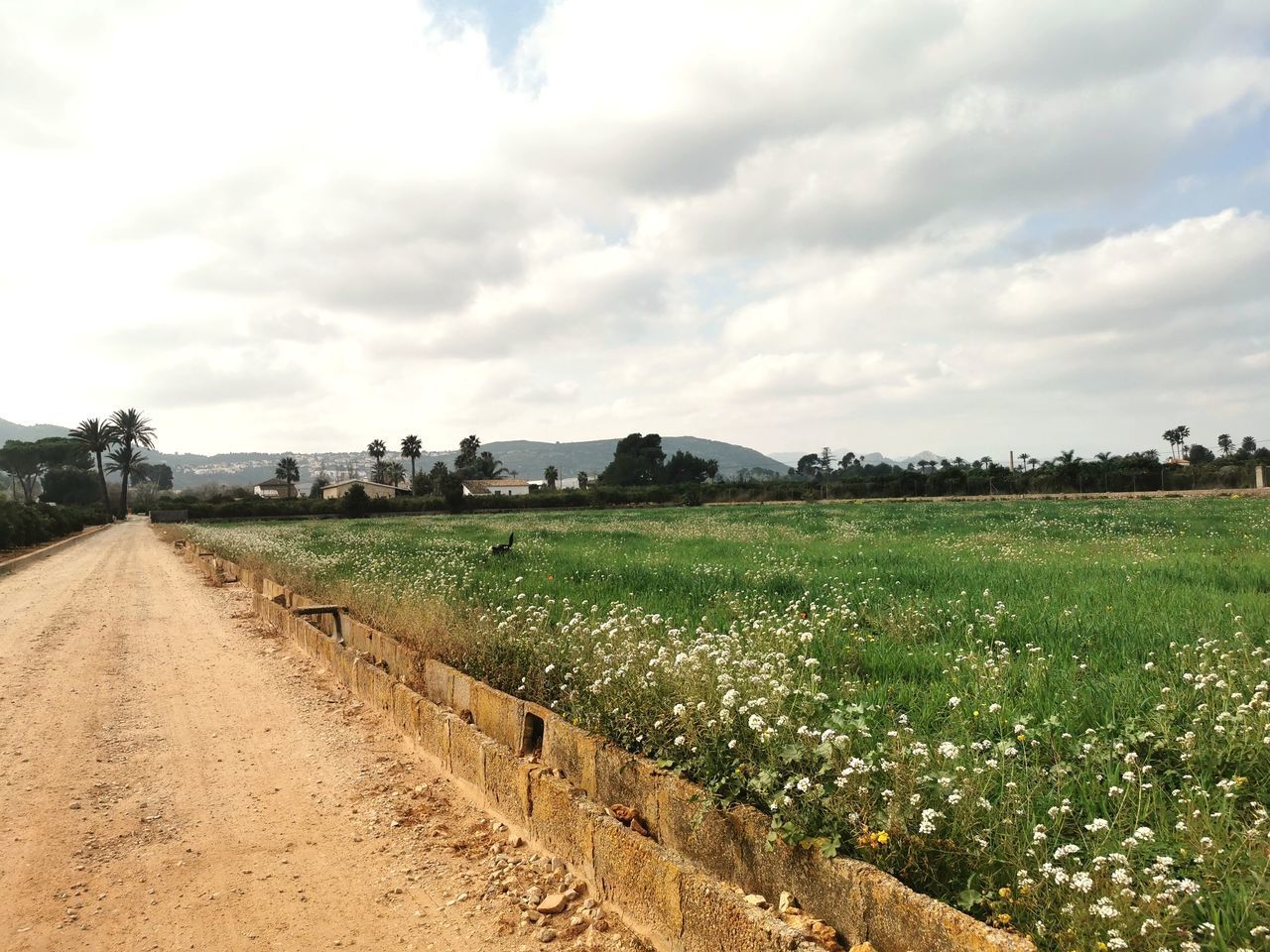 VIEW OF DIRT ROAD ALONG LANDSCAPE