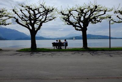 Friends sitting on park bench amidst trees against lake