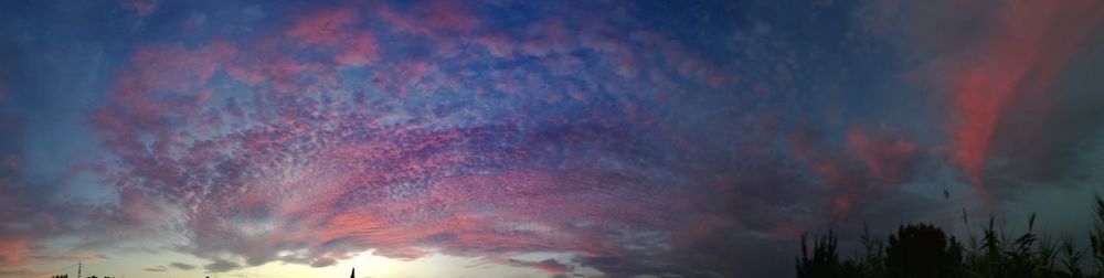 Low angle view of trees against sky during sunset