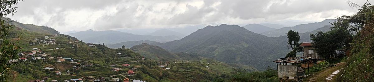 Panoramic shot of plants and mountains against sky