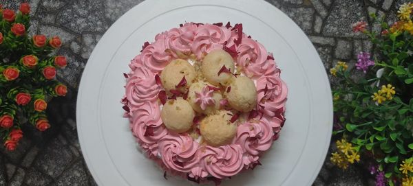 High angle view of pink roses