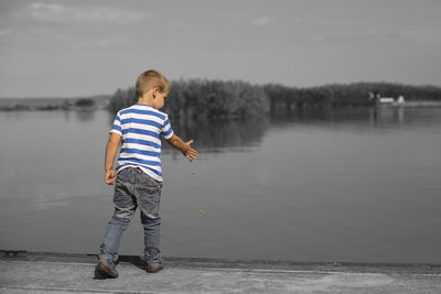 Rear view of woman looking at lake