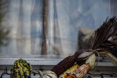 Close-up of vegetables on window sill