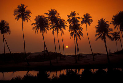 Silhouette palm trees at sunset