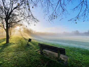 Scenic view of park against sky