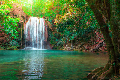 Scenic view of waterfall in forest