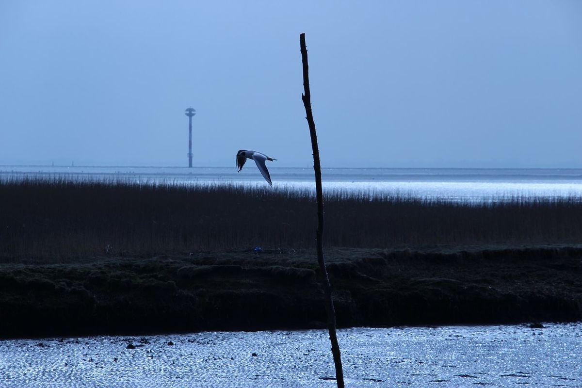 North Sea Coast