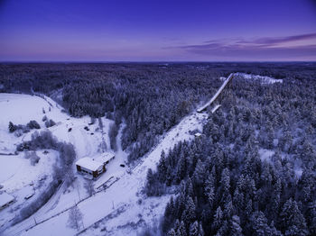 High angle view of trees in forest against sky during winter