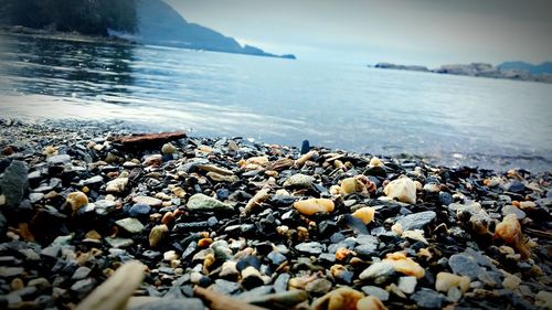 Surface level of rocks on beach