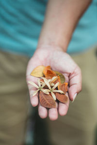 Close-up of hand holding leaf