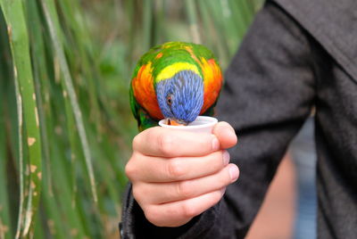 Close-up of person holding multi colored ball