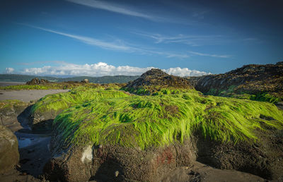 Scenic view of land against sky