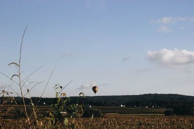 Agricultural field against sky