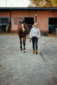 Horses on road