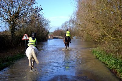 Rear view of man and dog on water against sky